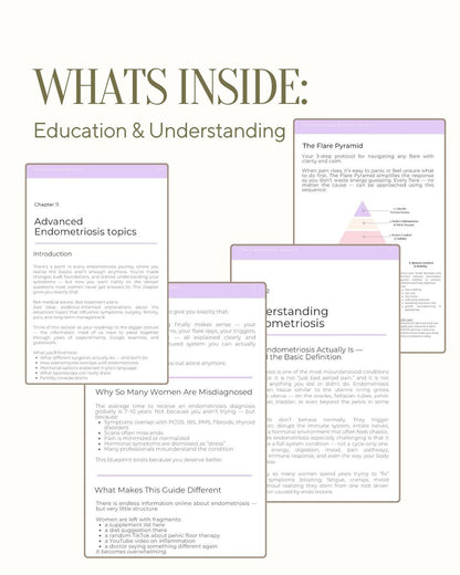 The Endometriosis Blueprint