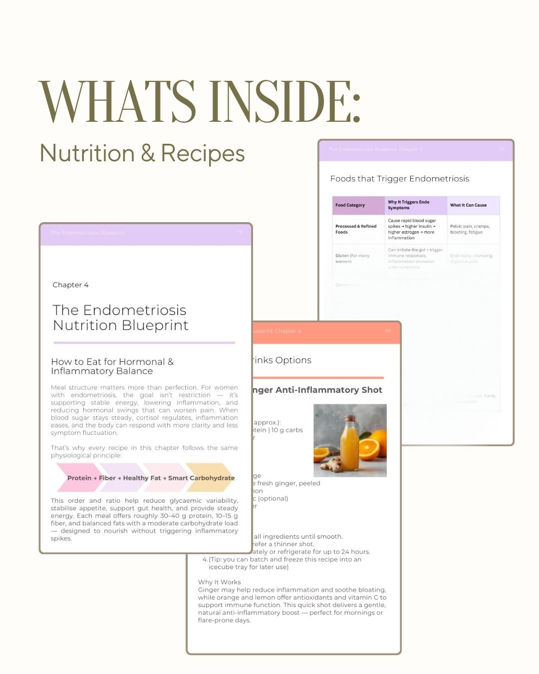 The Endometriosis Blueprint